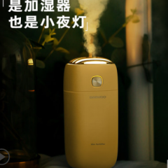 大宇迷你加湿器家用低噪音卧室办公室车载喷雾空调房空气净化器