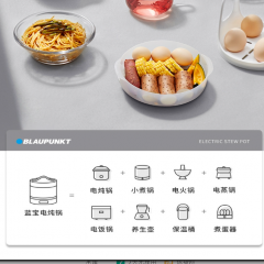 德国蓝宝新款电炖锅燕窝炖盅煲汤煮粥神器家用隔水电炖盅婴儿BB煲