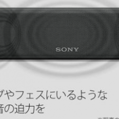 SONY索尼无线蓝牙音箱扬声器无线便携式SRS-HG10